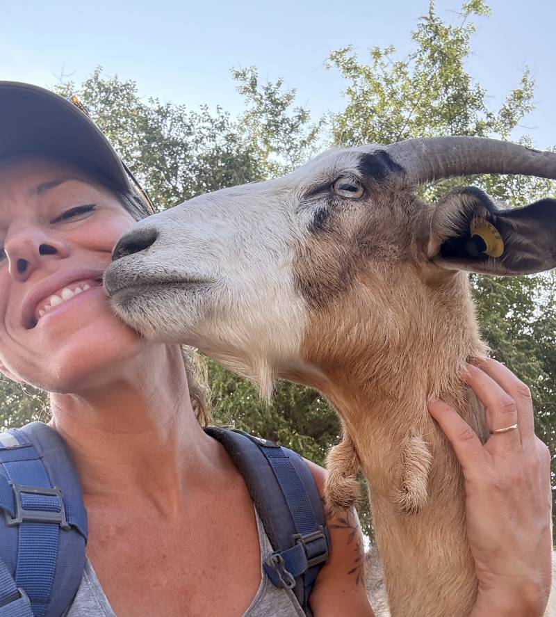 דיר באלכ משק נוקדים כפר רופין