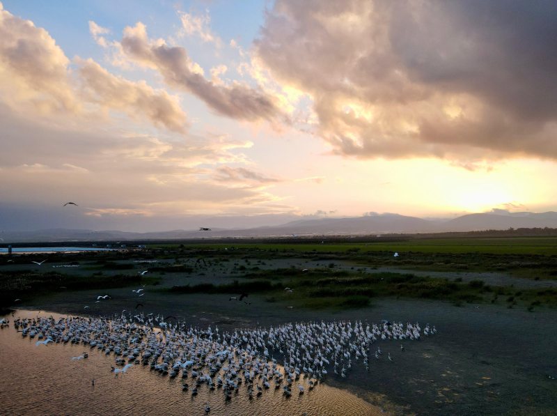שקנאים בעמק המעיינות