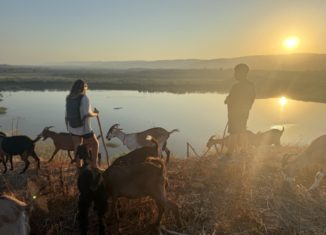 דיר באלכ, דיר בלק, עיזים כפר רופין