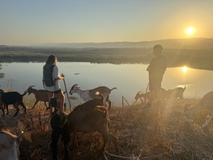 דיר באלכ, דיר בלק, עיזים כפר רופין