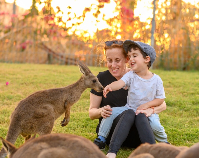 גן גורו פארק המעיינות