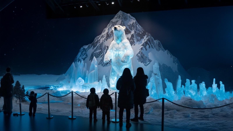 תערוכת אנטרקטיקה ארנה הרצליה