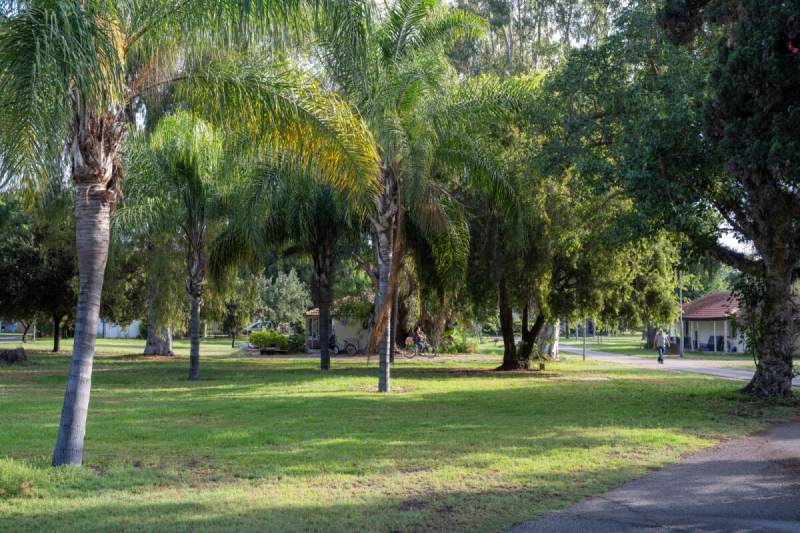קיבוץ כפר מסריק