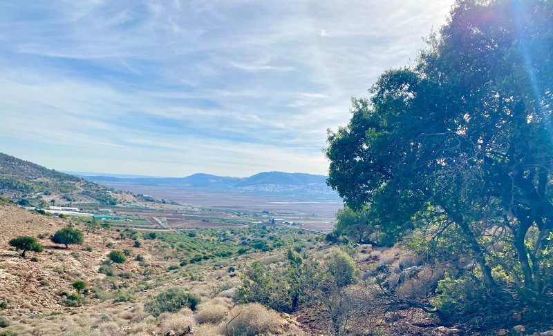 מסלולי הטיול בפסטיבל גליל מרכזי