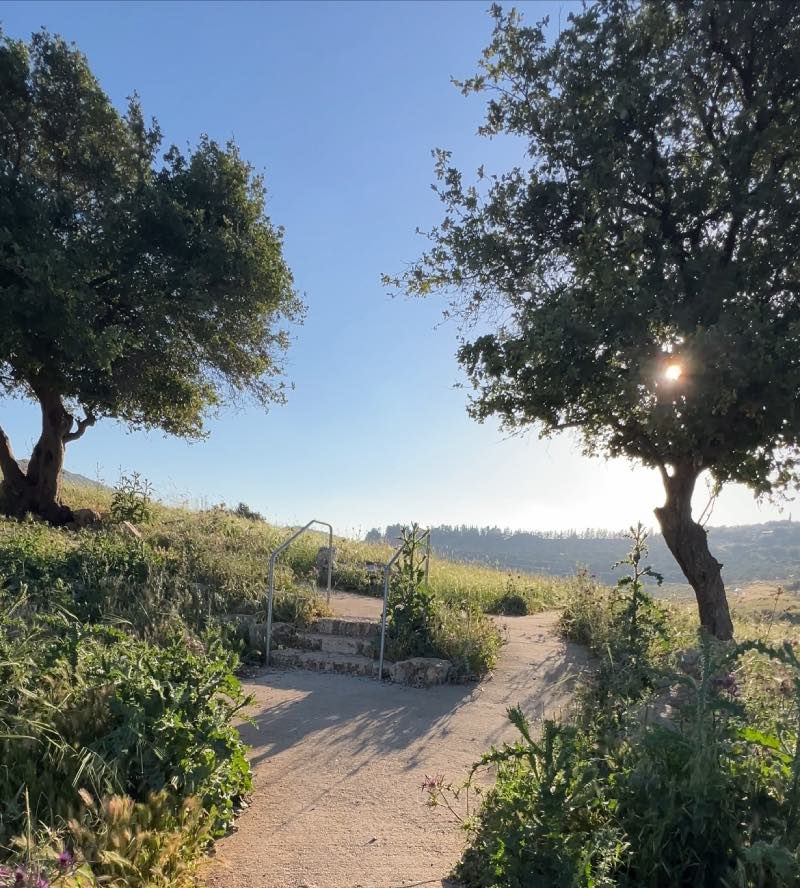 שביל טרק בית הכרם, שבילים ארוכים בישראל