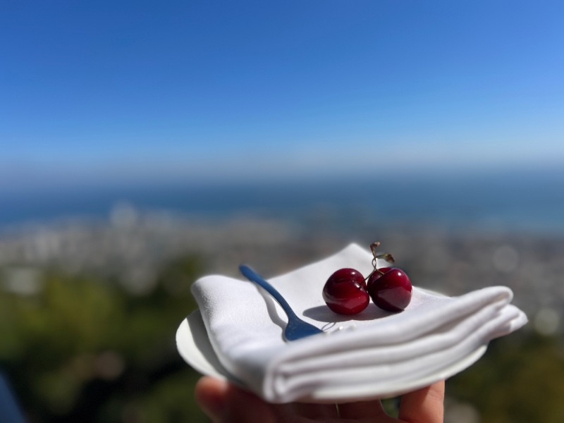 הנוף מהחדרים בדן כרמל