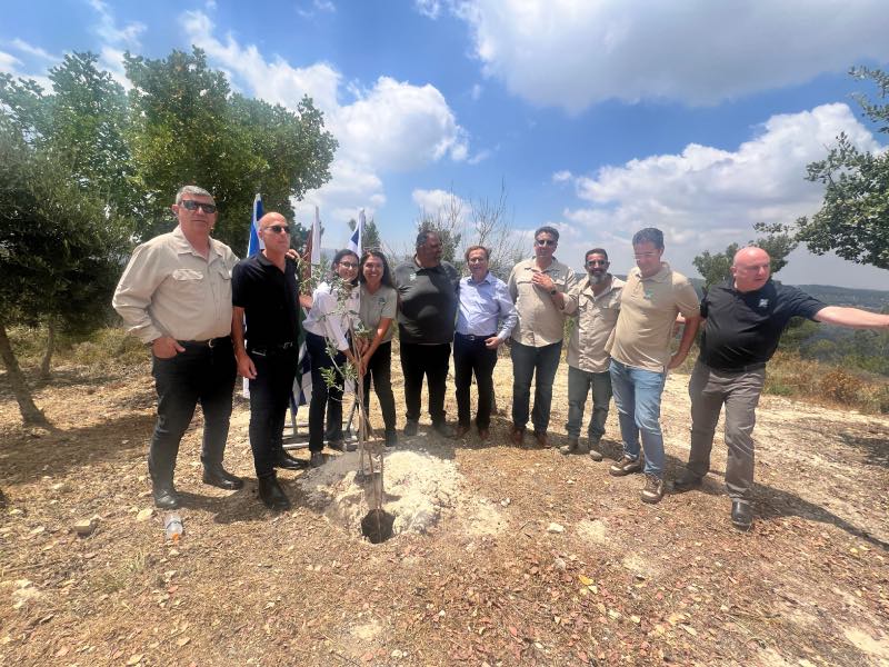 אנשי קקל נוטעים עץ ביער עמינדב ליד הקפה החדש