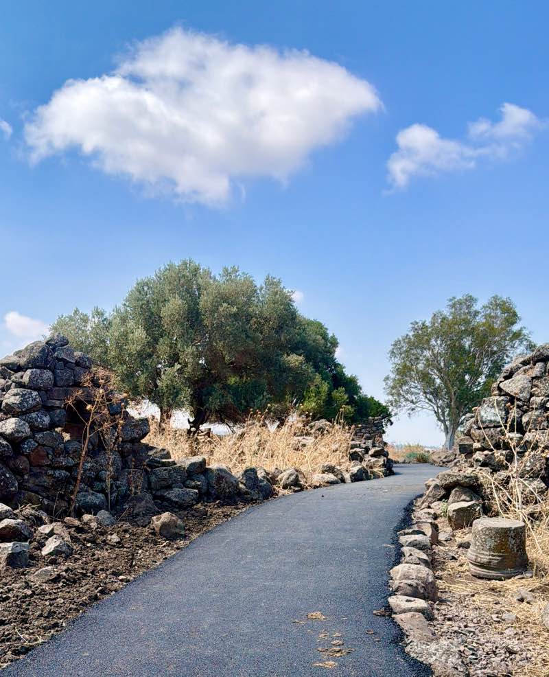 המסלול המונגש שמורת יהודיה