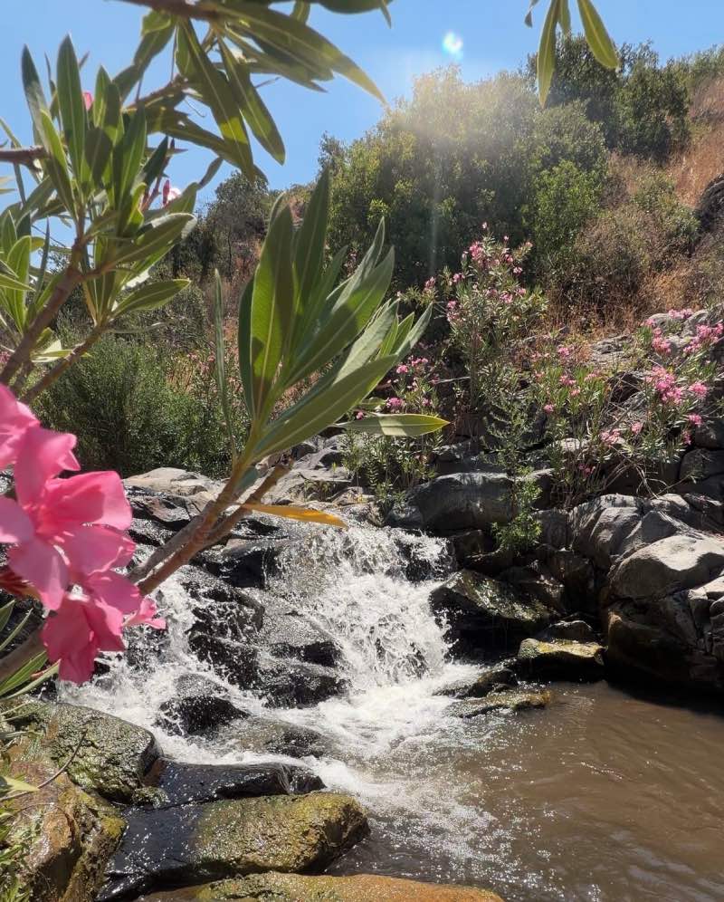 הכניסה לבריכות השכשוך בנחל יהודיה עליון