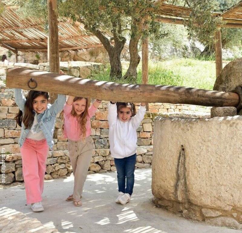 פעילות לילדים בירושלים