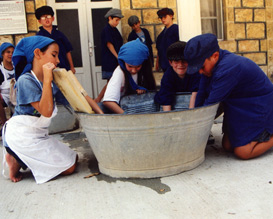 החצר הישנה עין שמר, טיולים ליום העצמאות