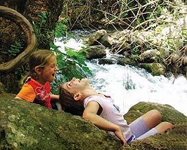 קיטנות הקיץ 2007 של החברה להגנת הטבע