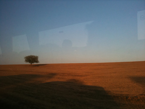 טיולי משפחות בנגב, טיולים לחופש הגדול, טיולים עם ילדים בנגב