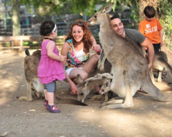 פסטיבל אהוריג'ינים בגן גורו - אירועי סוכות 2011