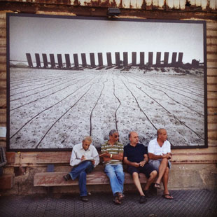פסטיבל יפו לצילום