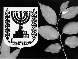 פוטוגרמה, אטרקציות לילדים בבחירות, פעילות לילדים בבחירות בצפון, המוזיאון הפתוח בתפן