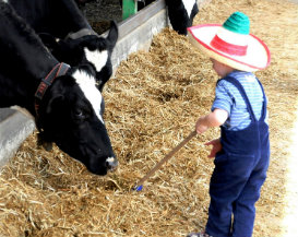 טיול לכל המשפחה, שבועות 2013, טיול עם ילדים, פעילויות לילדים