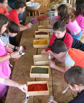 פעילויות לילדים בחוות דרך התבלינים בבית לחם הגלילית