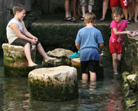 אטרקציות לחופש הגדול, פעילויות לחופש הגדול