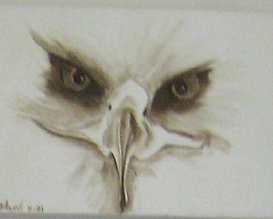 פעילות לילדים בחנוכה במוזיאון האדם והחי ברמת גן