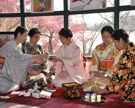 פסטיבל הסקורה ירושלים, פסטיבל הסאקורה בגן הבוטני בירושלים