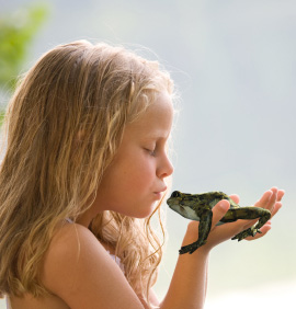 הצילו את הצפרדע