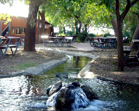 מסעדת דגי דפנה, מסעדות לילדים בגליל, מסעדות דגים בגליל