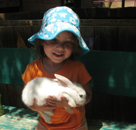 אתגרים בטבע - החווה בבנימינה, פעילויות לילדים בבנימינה, פעילות לילדים בבנימינה