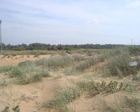 חוף בצת, מצילים את החוף, המאבק על השטחים בפתוחים בישראל