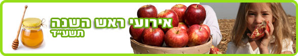אירועי ראש השנה 2013 - תשע"ד