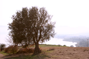 הר האושר, סובב כנרת