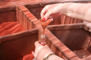 אגם תמנע, אטרקציות בערבה, פעילויות לילדים בערבה, טיולים בדרך לאילת, מסלולי אופניים בערבה