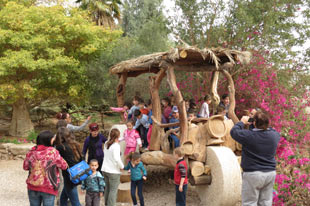 הגן הבוטני אילת, אטרקציות לילדים באילת, פעילות לילדים באילת, מקומות אקולוגיים, גנים אקולוגיים, חקלאות אורגנית