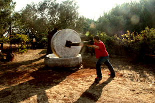 דרך התנך במכמנים, אטרקציות לילדים בגליל, תמונה של בית בד, תמונה של ים ומלל, מסיק זיתים בגליל, פסטיבל הזית בגליל