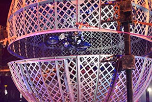 קרקס מדגסקר - מופעי פסח 2013