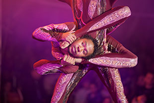 קרקס מדגסקר - מופעי פסח 2013