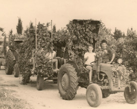 בית וקיט, קיבוץ לוחמי הגטאות, פעילות לכל המשפחה בצפון, אטרקציות לילדים