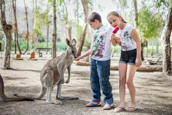 גן גורו, סיורי לילה לכל המשפחה, פעילויות לילדים