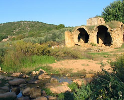 טיול בעין בוקק