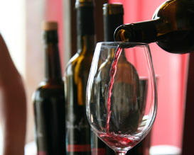 טעימות יין, יקב גינתון, פעילויות לילדים