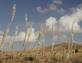 פעילויות לילדים בסוכות, אטרקציות לילדים, פעילות לכל המשפחה