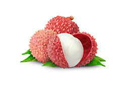 קטיף ליצ'י, בילוי מומלץ לשבת עם הילדים, אטרקציות מומלצות לילדים