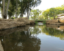 טיולי משפחות עם רשות הטבע והגנים, טיול לכל המשפחה, טיול עם ילדים