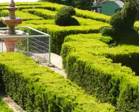 פארק אוטופיה - המבוך ועוד אטרקציות לילדים