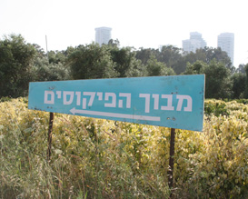 מבוך הפיקוסים בחווה בתל אביב- פעילויות לילדים בתל אביב