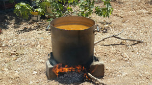 פסטיבל טעם הכפר בראש השנה, אירועי ראש השנה, פעילויות לכל המשפחה בראש השנה