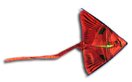 עפיפון לילדים