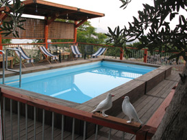 צימרים בצפון, אטרקציות בצפון, צימרים במושב רמות