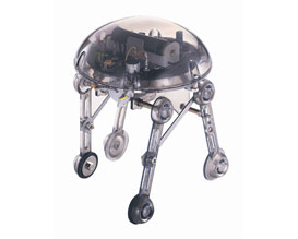 רובוט חללית