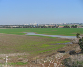 תצפית אל עמק הנרקיסים ברמת אביב - צומת גלילות מגבעת התצפית